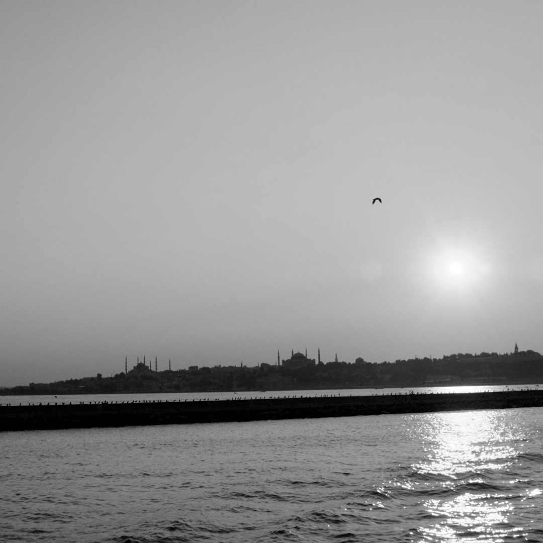 photo: Instrument created by Roxanne Nesbitt for WHY Choir's Mined Dirt or Metal.