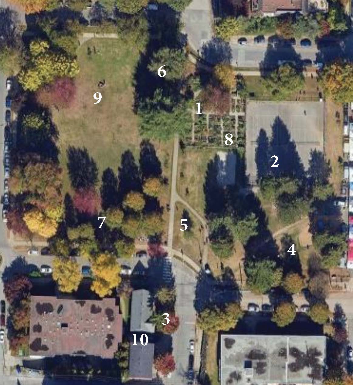Satellite Image of Dude Chilling Park