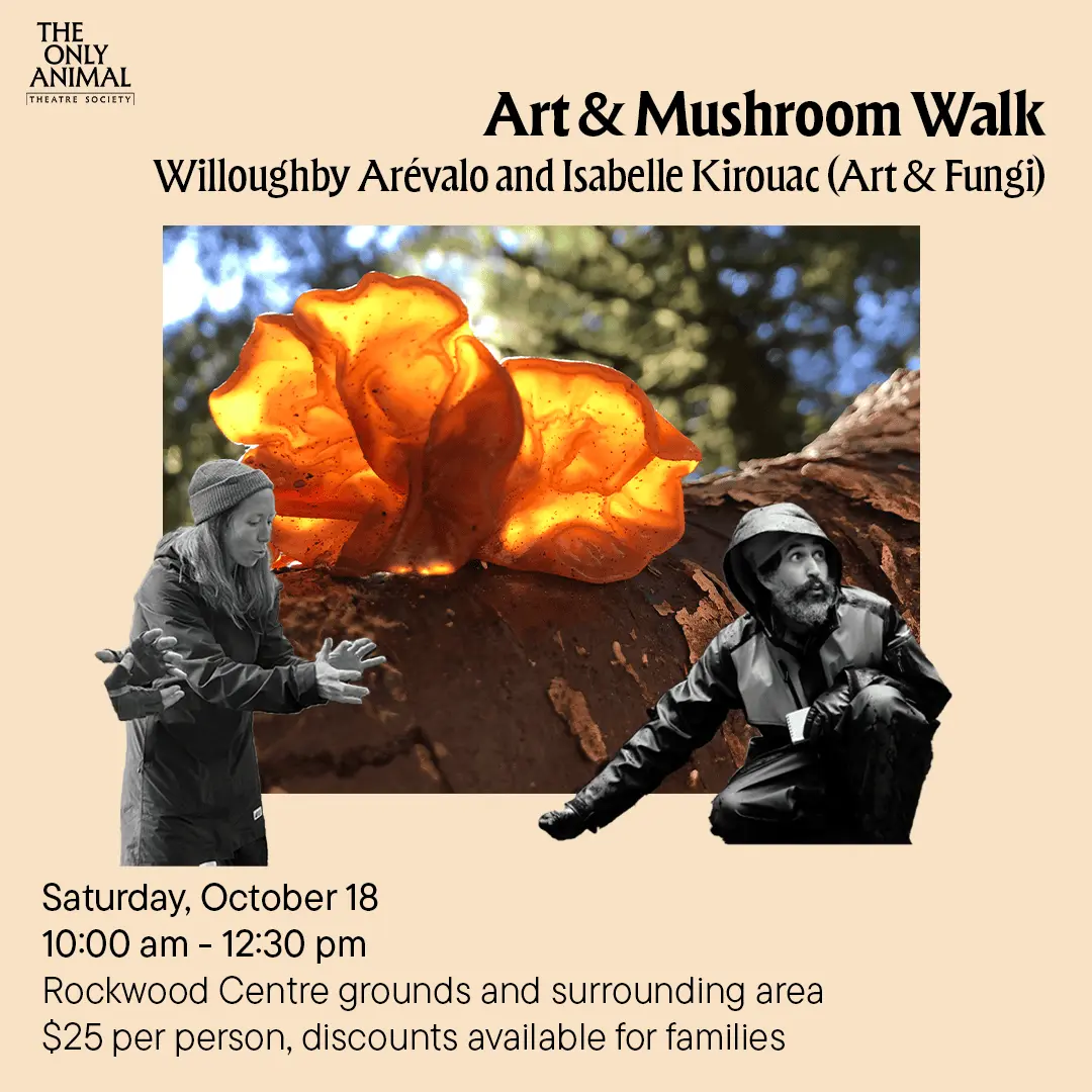 Art & Mushroom Walk poster